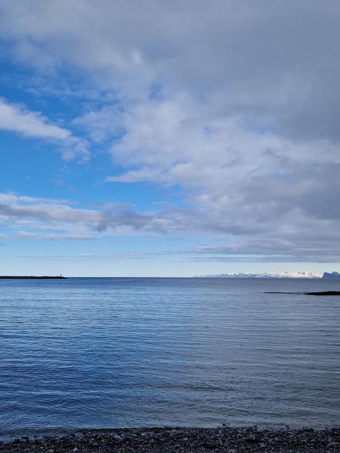 Roligheten Lodge In Andenes Esterno foto