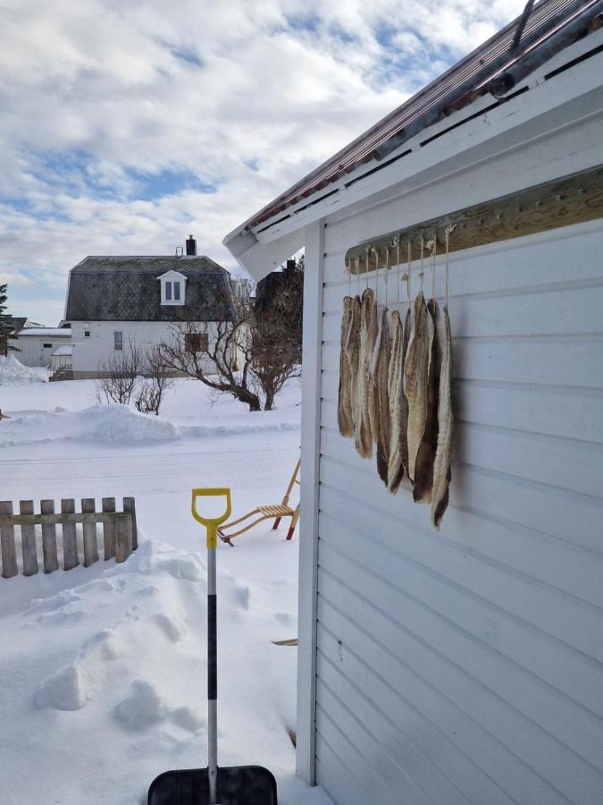 Roligheten Lodge In Andenes Esterno foto